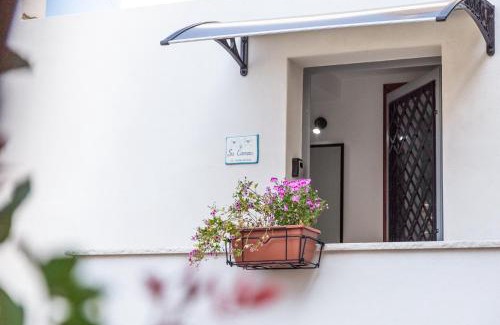 Baunei Apartment | Sa carrera