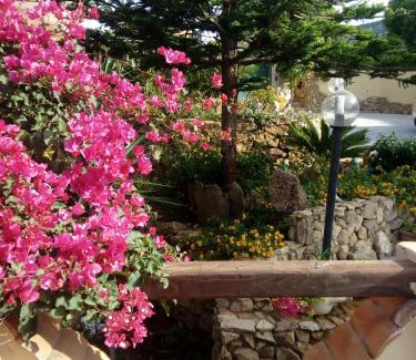 Nebida House | Sa Corte Antiga: Guest Rated 9.6, Pet & Child Friendly Stay