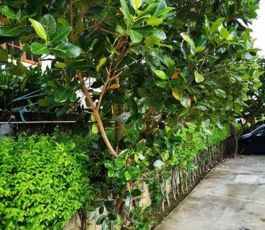 Suphan Buri House | Discover Sab Suwarn Mansion: Family-Friendly 4-Star Retreat