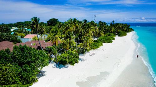 Fodhdhoo Hotel | Serene Sabba Beach Suite in Fodhdhoo, Maldives Awaits