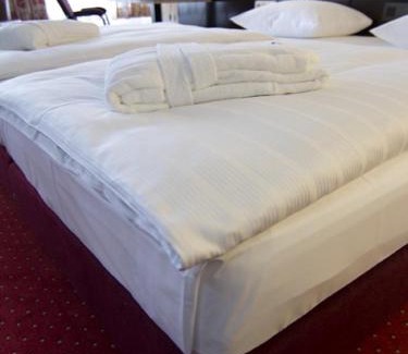 Reinbek Hotel | Discover Sachsenwald Hotel Reinbek: Pet-Friendly Retreat