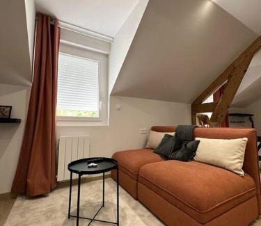 Rodez Apartment | Cozy Sacré Studio: Private Parking & Free WiFi Awaits