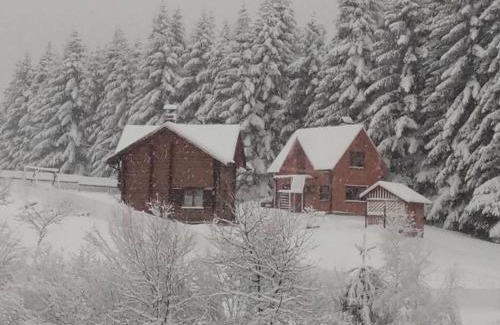 Skhidnytsya House | Discover Sadyba Drymba: Pet-Friendly Retreat with Kids' Perks