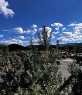 Snidavka House | Cozy Sadyba Pidkova: Pet-Friendly with Hot Tub & Kitchen