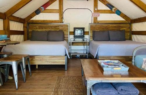 Seguin House | Safari Cabin 1