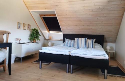 Faaborg Bed & Breakfast | Family-Friendly Safine B&B with a 9.5/10 Guest Rating