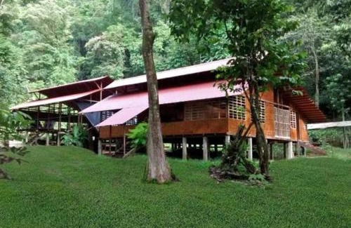 Nuqui Hotel | Paradise Awaits at Safio: Beachfront Bliss and More