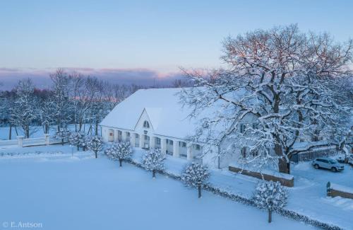 Sagadi Hotel | Elegant Sagadi Manor Hotel: Pet Friendly & Kid Approved