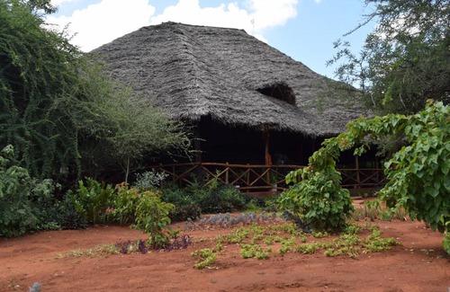 Voi Cabin | Comfortable Stay at Sagala Lodge with Pool & Pet-Friendly Perks