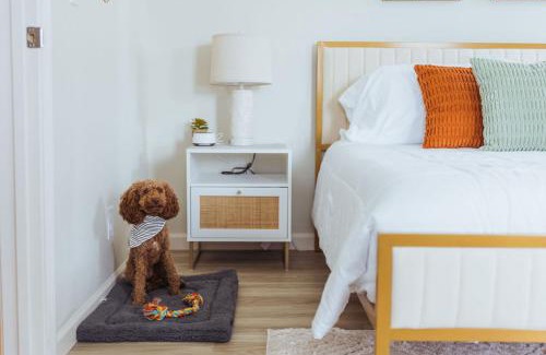 Johnson City Apartment | Pet-Friendly Sage Haven #4 - Guest Rated 10/10 Experience