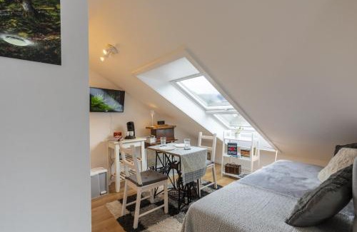 Bad Peterstal-Griesbach Apartment | Unforgettable Views Await at Sagenhafter Ausblick