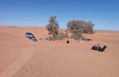 M'Hamid El Ghizlane Other | Discover Erg Lihoudi Dunes & Bivouac: Pet-Friendly Retreat