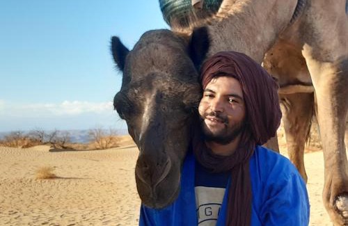 M'Hamid El Ghizlane Other | Ideal Sahara Peace Camp: Pet-Friendly with High Ratings