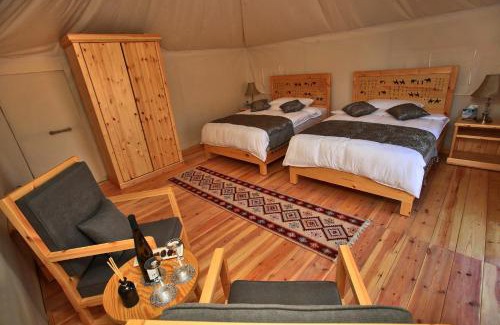 Wadi Rum Other | Explore Sahara Rum Glamping: Pet-Friendly & Family Fun