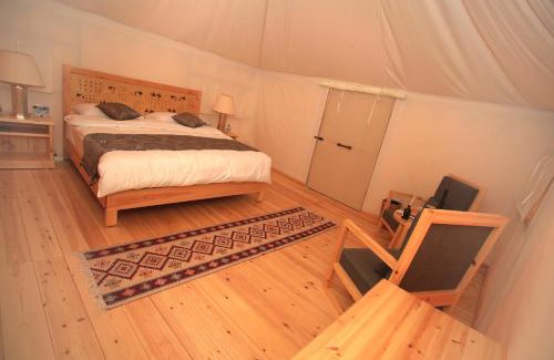Wadi Rum Other | Explore Sahara Rum Glamping: Pet-Friendly & Family Fun