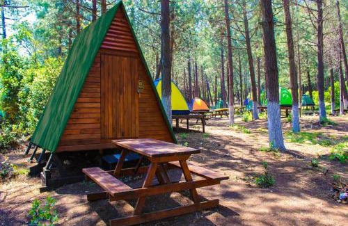 Sahilkoy Other | Discover Sahilkamp İstanbul: Pet-Friendly Beach Retreat