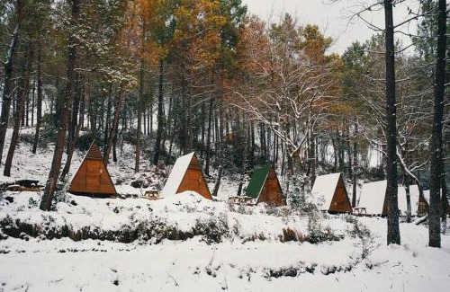 Sahilkoy Other | Discover Sahilkamp İstanbul: Pet-Friendly Beach Retreat