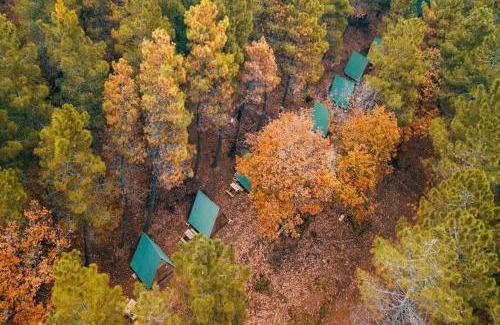 Sahilkoy Other | Discover Sahilkamp İstanbul: Pet-Friendly Beach Retreat