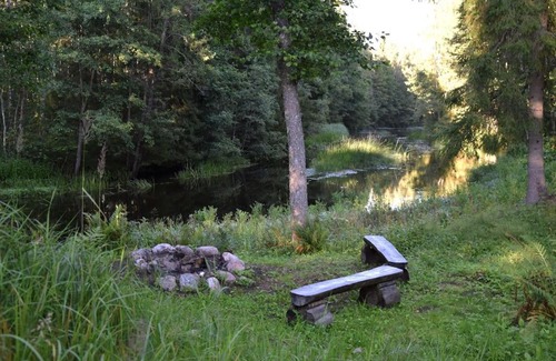 Anija Parish Cabin | Pet-Friendly Saia Forest House with Hot Tub & Perfect Score