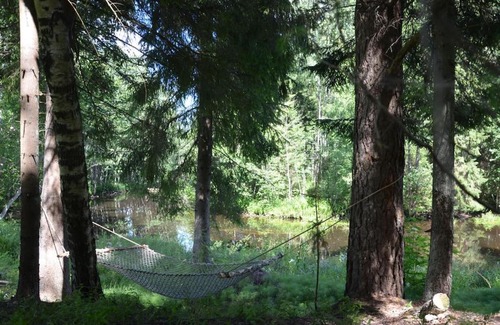 Anija Parish Cabin | Pet-Friendly Saia Forest House with Hot Tub & Perfect Score