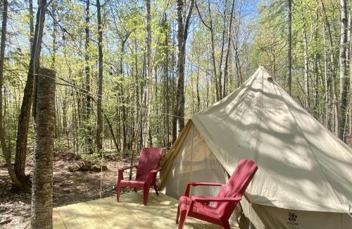 Bayfield Other | Experience Sailor Springs Glamping: Pet & Child Friendly Retreat