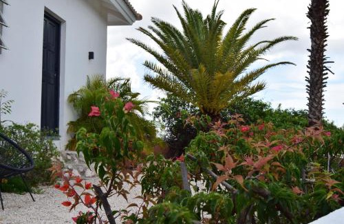 Pietermaai District Resort | Discover Saint Joris: Boutique Resort with Pool & Pet Friendly