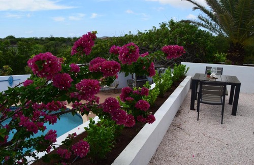 Pietermaai District Resort | Discover Saint Joris: Boutique Resort with Pool & Pet Friendly