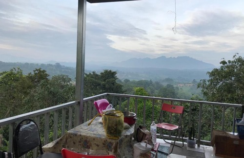 Mueang Ngai House | Cozy Saithonghouse with Garden, Pet-Friendly Amenities