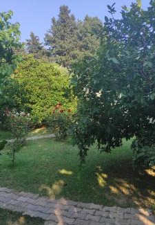 Cirali House | Discover SaklıBahçe Pension: Oceanfront Family Retreat