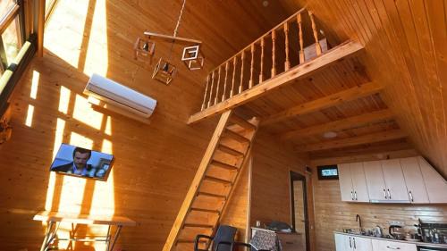 Imereti Villa | salibauri