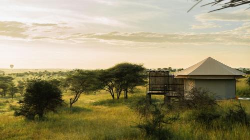 Serengeti National Park Resort | Experience the Magic of Salinero Serengeti Resort