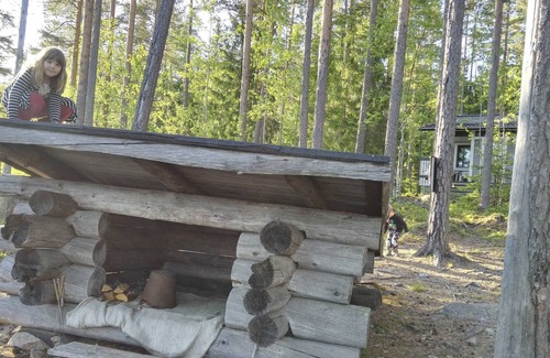 Orivesi Villa | Discover Salkolahti Huvikumpu: Pet-Friendly Oceanfront Retreat