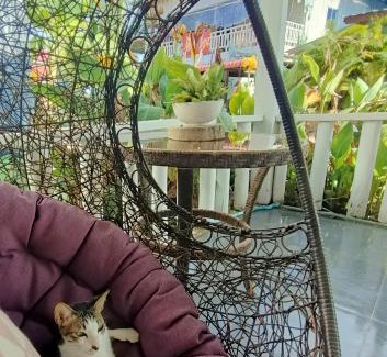 Koh Rong Sanloem House | Relax at Sam's Guesthouse M'Pai Bay with Ocean Views