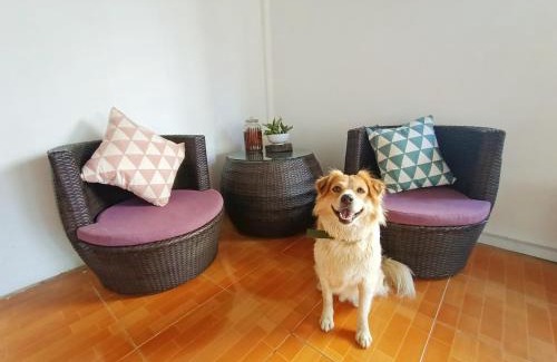 Koh Rong Sanloem House | Relax at Sam's Guesthouse M'Pai Bay with Ocean Views