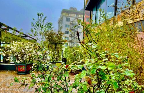 Tam Dao Apartment | Discover Sam Villa Tam Đảo: Perfect for Family Getaways