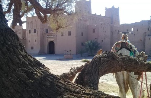 Skoura House | Discover SAMA LODGE: Family and Pet-Friendly Retreat