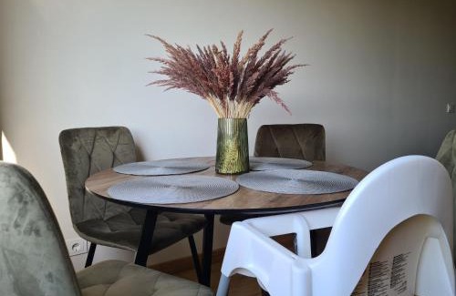 Siauliai Apartment | Family-Friendly Samanų Apartamentai with Perfect 10/10 Reviews