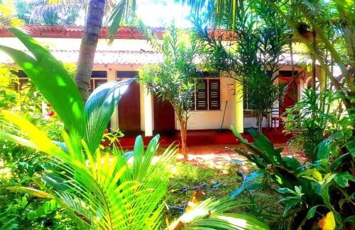 Thiranagama House | Top-Rated Saman Beach Hikkaduwa: Oceanfront Paradise Awaits