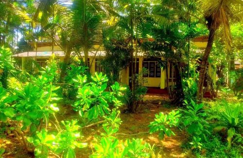 Thiranagama House | Top-Rated Saman Beach Hikkaduwa: Oceanfront Paradise Awaits