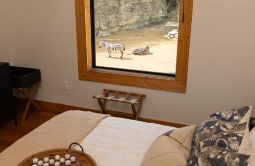 San Antonio Cabin | San Antonio Zoo - Spekboom Giraffe Lodge