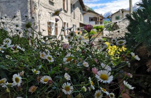 Cortinaccia Apartment | Family-Friendly San Carlo with a 9.2/10 Guest Rating
