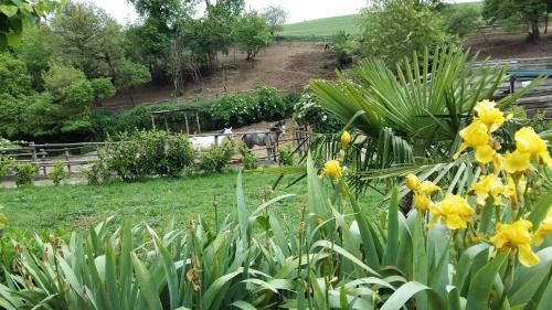 Acquapendente House | Pet-Friendly Getaway at San Filippo - Guest Rated 9/10