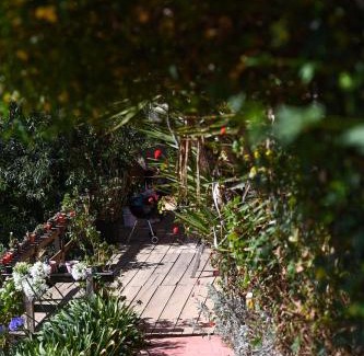 San Jose del Pacifico Ski Chalet | Family-Friendly Escape at San José del Pacífico