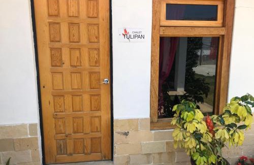 San Martin House | Pet-Friendly Retreat at San Jose Olympia with Pool & Hot Tub