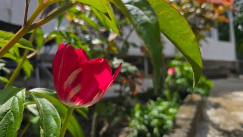 Sanahin House | Unforgettable Stay at Sanahin OLD&NEW with Breakfast Included