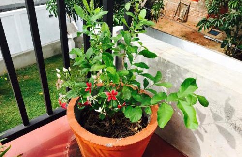 Anuradhapura House | Budget-Friendly Sanasuma Rest: Breakfast & Family Comfort