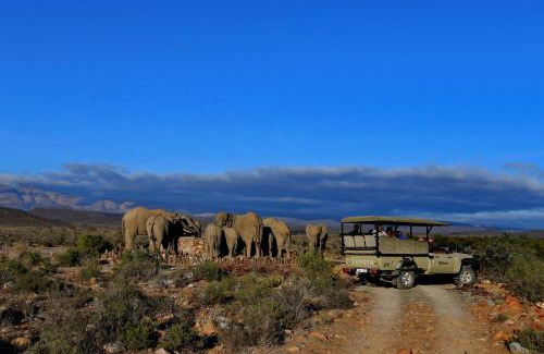 Barrydale Cabin | Experience Sanbona Wildlife Reserve: 5-Star Luxury Awaits