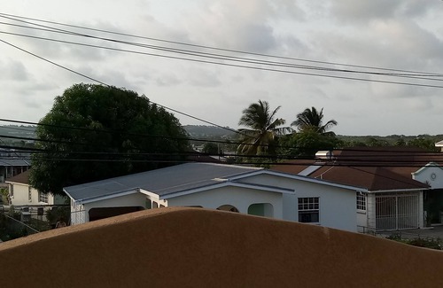 Mangrove Apartment | Sand Dollar Vacation Apartment: Oceanfront Stay with Pool