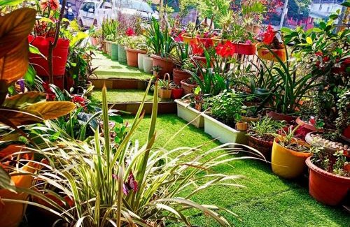 Sundarnagar Hotel | Sandalee Comforts