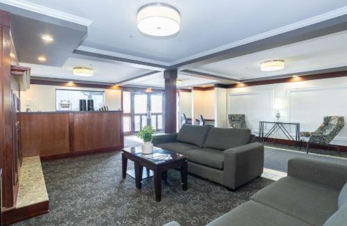 Red Deer Hotel | Discover Sandman Hotel Red Deer: Pet-Friendly Comfort & Fun